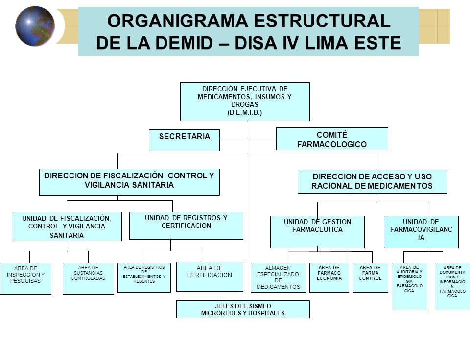 ORGANIGRAMA ESTRUCTURAL DE LA DEMID – DISA IV LIMA ESTE