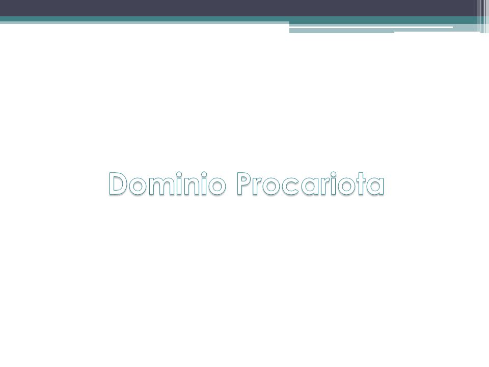 Dominio Procariota