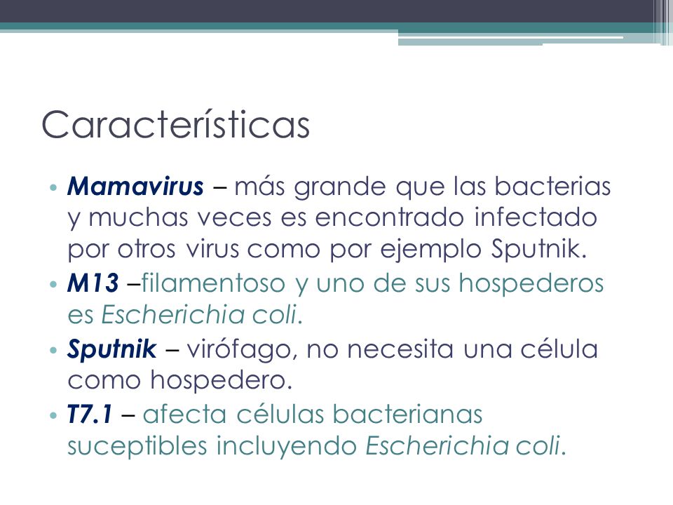 Características Mamavirus – más grande que las bacterias y muchas veces es encontrado infectado por otros virus como por ejemplo Sputnik.