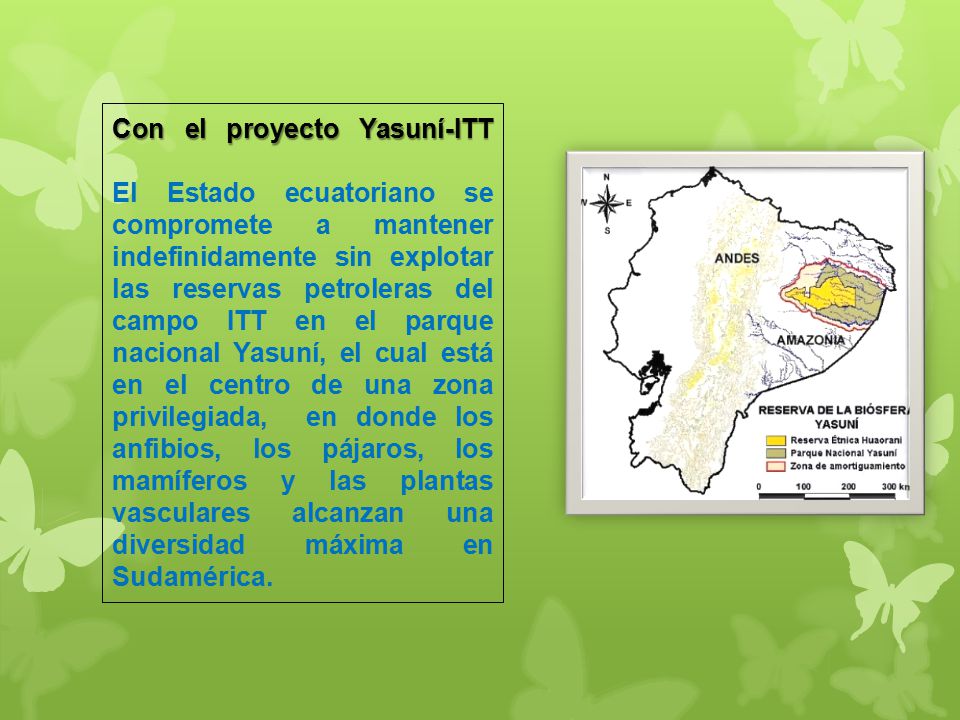 Con el proyecto Yasuní-ITT El Estado ecuatoriano se compromete a mantener indefinidamente sin explotar las reservas petroleras del campo ITT en el parque nacional Yasuní, el cual está en el centro de una zona privilegiada, en donde los anfibios, los pájaros, los mamíferos y las plantas vasculares alcanzan una diversidad máxima en Sudamérica.