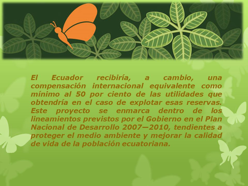 El Ecuador recibiría, a cambio, una compensación internacional equivalente como mínimo al 50 por ciento de las utilidades que obtendría en el caso de explotar esas reservas.