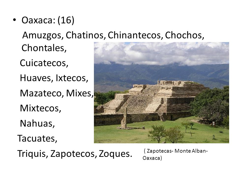 Amuzgos, Chatinos, Chinantecos, Chochos, Chontales, Cuicatecos,
