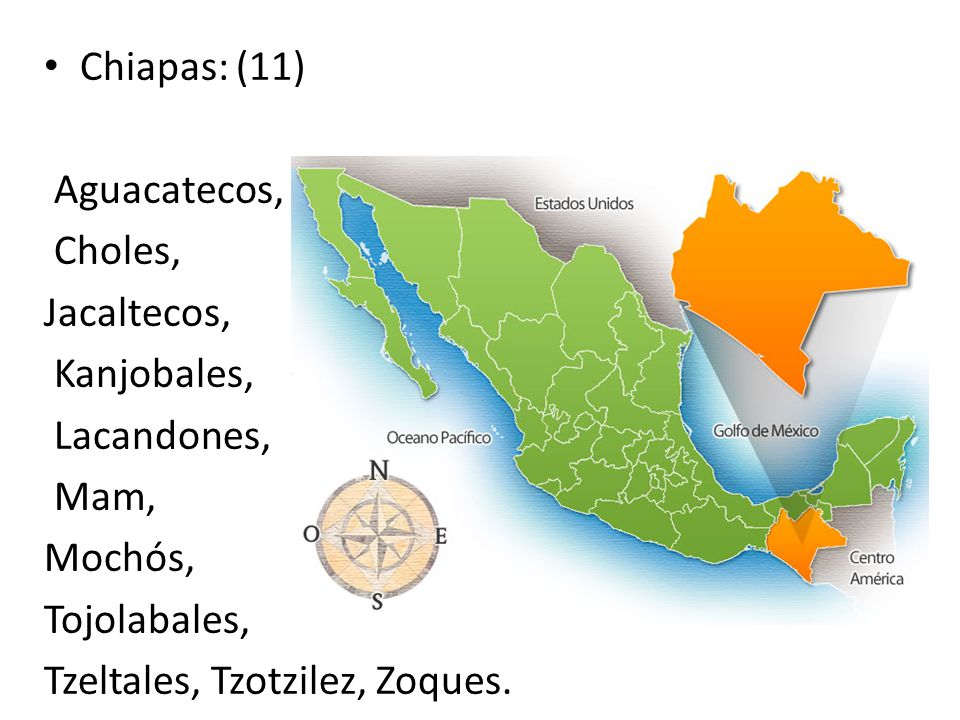 Chiapas: (11) Aguacatecos, Choles, Jacaltecos, Kanjobales, Lacandones, Mam, Mochós, Tojolabales,