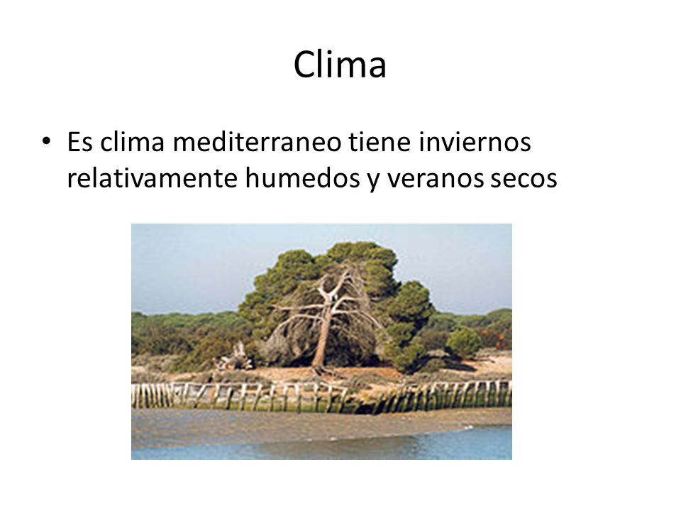 Clima Es clima mediterraneo tiene inviernos relativamente humedos y veranos secos