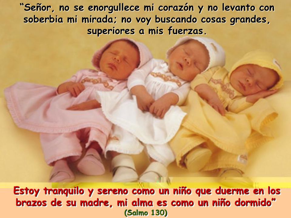 Señor, no se enorgullece mi corazón y no levanto con soberbia mi mirada; no voy buscando cosas grandes, superiores a mis fuerzas.