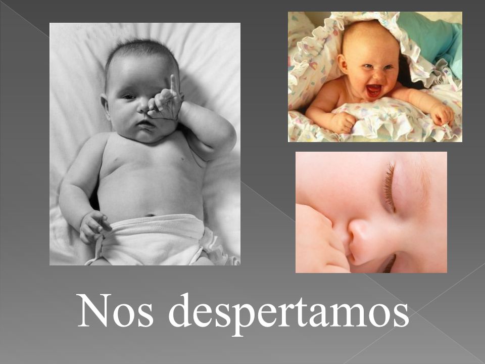 Nos despertamos