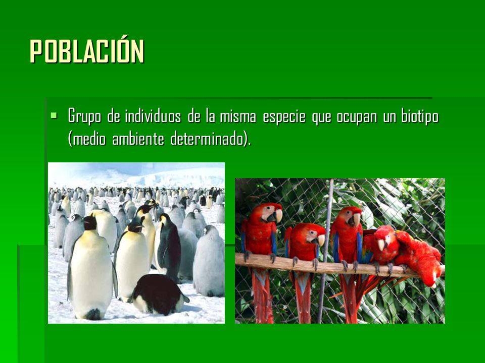 POBLACIÓN Grupo de individuos de la misma especie que ocupan un biotipo (medio ambiente determinado).