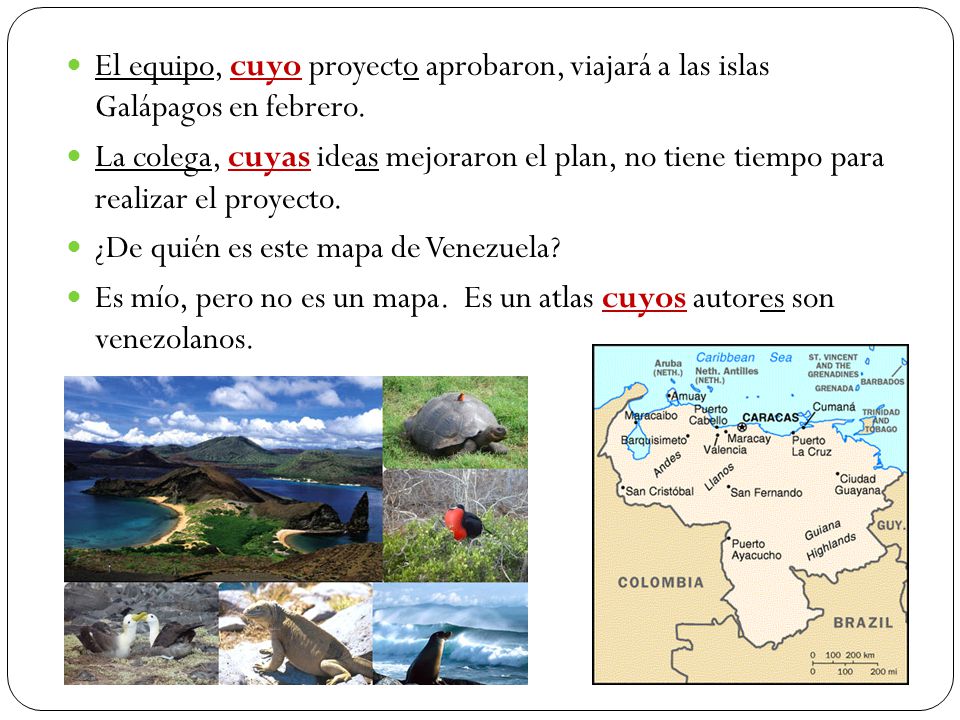 El equipo, cuyo proyecto aprobaron, viajará a las islas Galápagos en febrero.