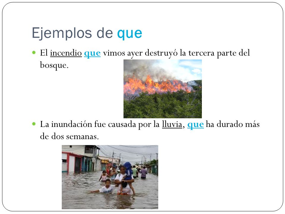 Ejemplos de que El incendio que vimos ayer destruyó la tercera parte del bosque.