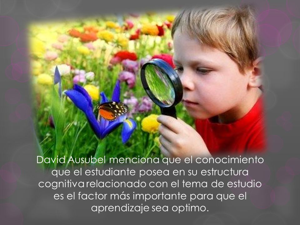David Ausubel menciona que el conocimiento que el estudiante posea en su estructura cognitiva relacionado con el tema de estudio es el factor más importante para que el aprendizaje sea optimo.