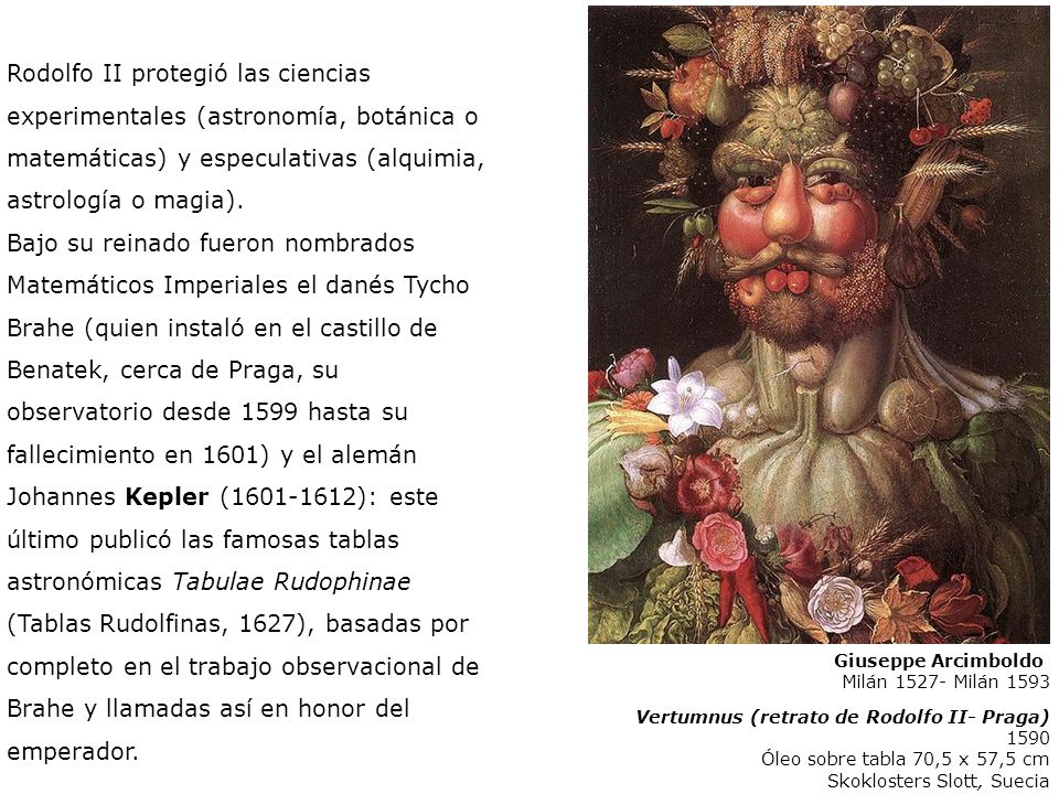 Rodolfo II protegió las ciencias experimentales (astronomía, botánica o matemáticas) y especulativas (alquimia, astrología o magia).