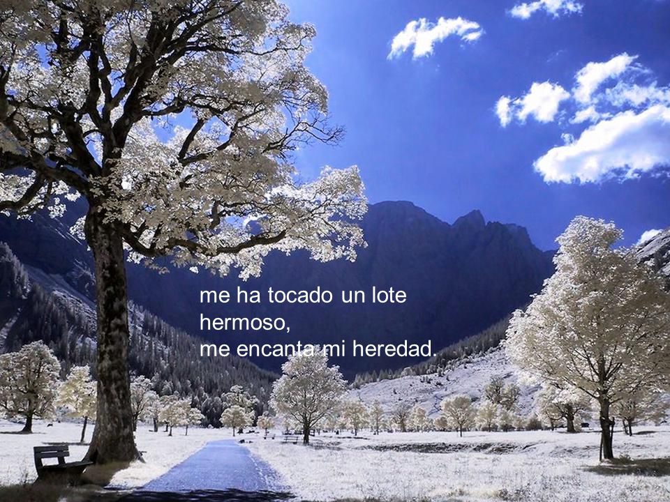 me ha tocado un lote hermoso, me encanta mi heredad.