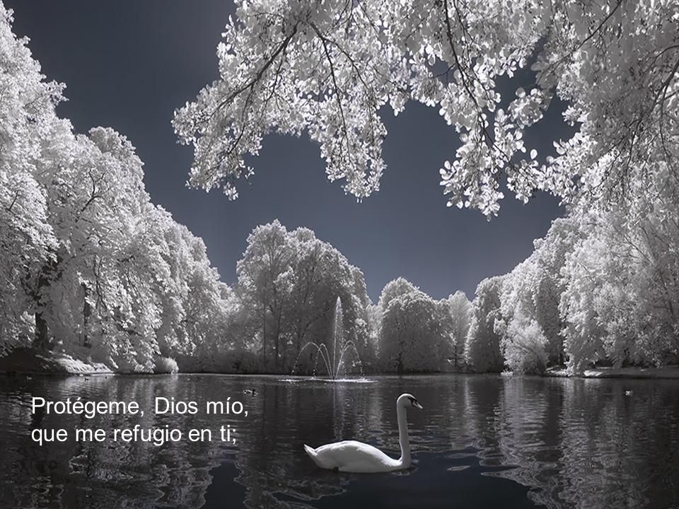Protégeme, Dios mío, que me refugio en ti;