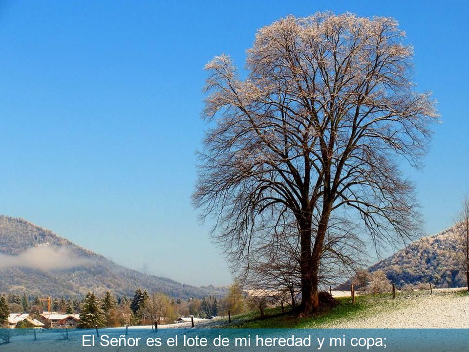El Señor es el lote de mi heredad y mi copa;