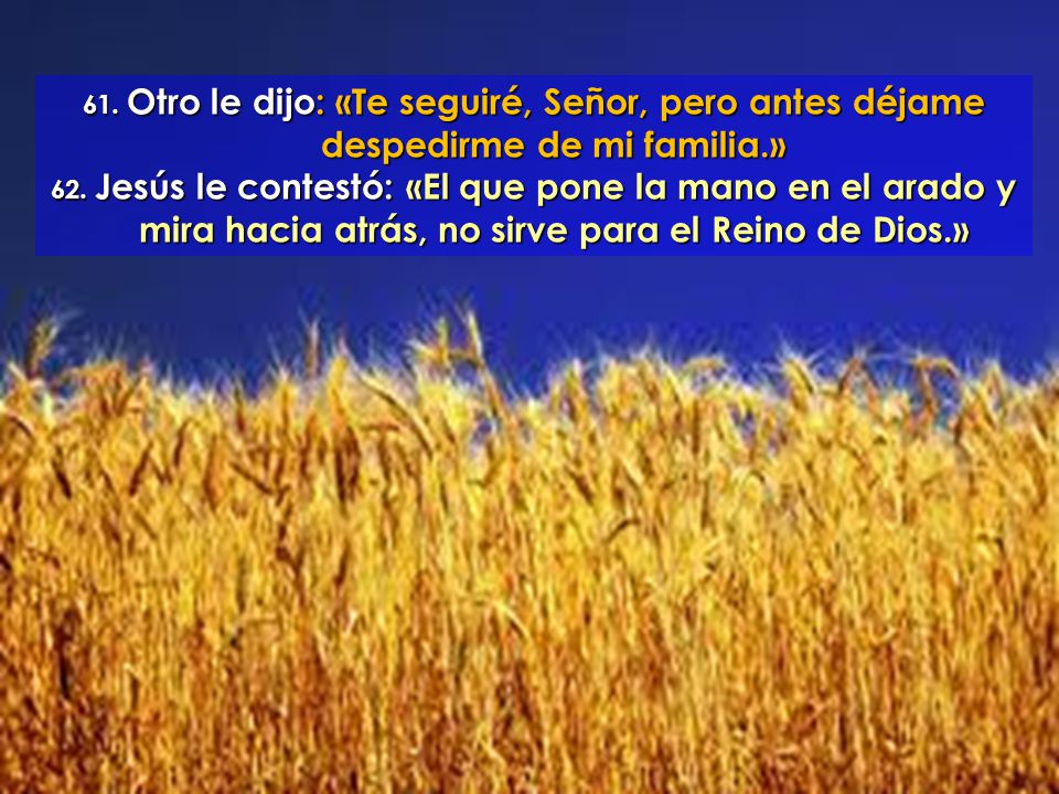 61. Otro le dijo: «Te seguiré, Señor, pero antes déjame despedirme de mi familia.»