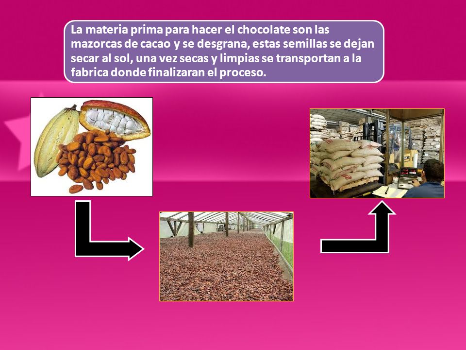 La materia prima para hacer el chocolate son las mazorcas de cacao y se desgrana, estas semillas se dejan secar al sol, una vez secas y limpias se transportan a la fabrica donde finalizaran el proceso.