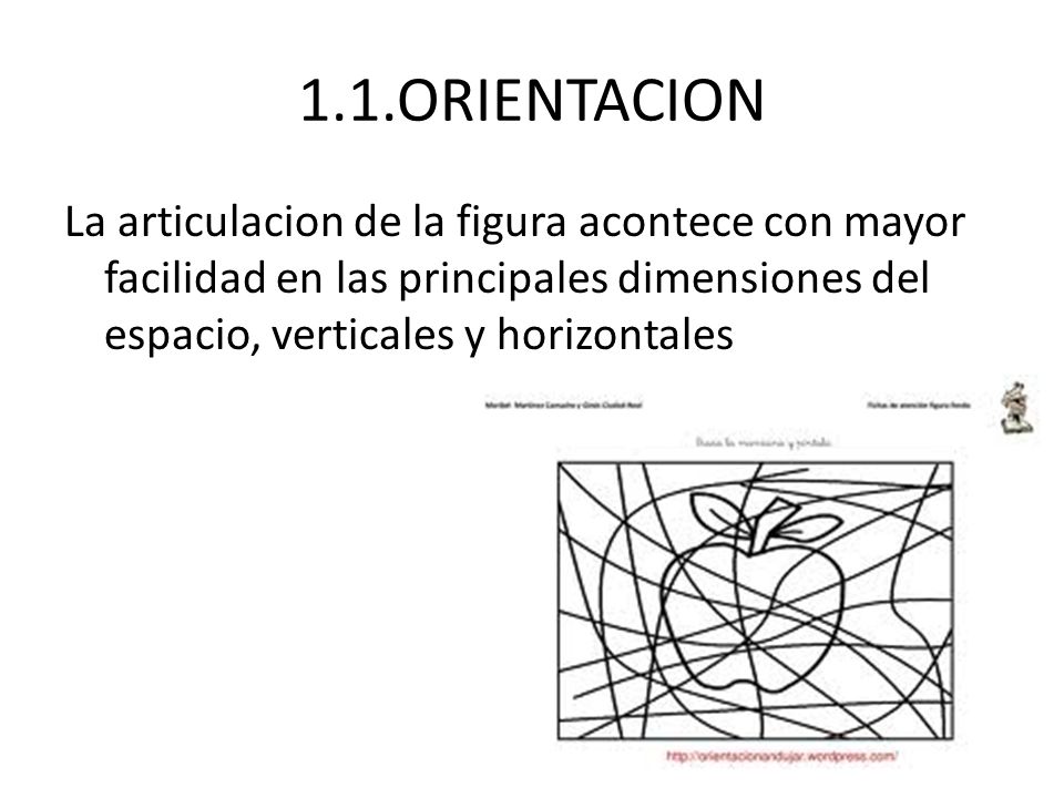 1.1.ORIENTACION La articulacion de la figura acontece con mayor facilidad en las principales dimensiones del espacio, verticales y horizontales.