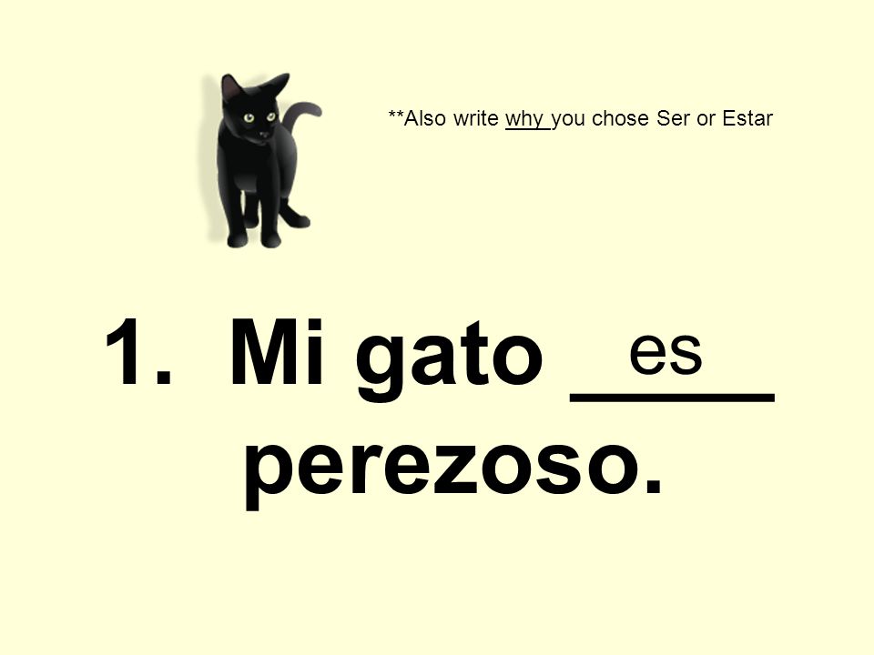 1. Mi gato ____ perezoso. **Also write why you chose Ser or Estar es