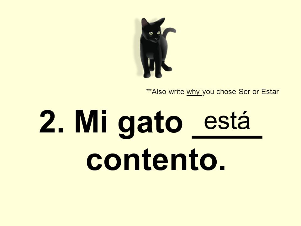 2. Mi gato ____ contento. **Also write why you chose Ser or Estar está