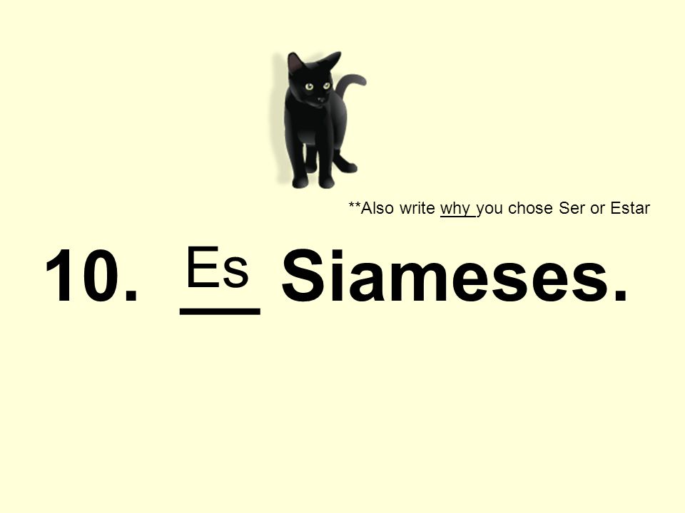 10. __ Siameses. **Also write why you chose Ser or Estar Es