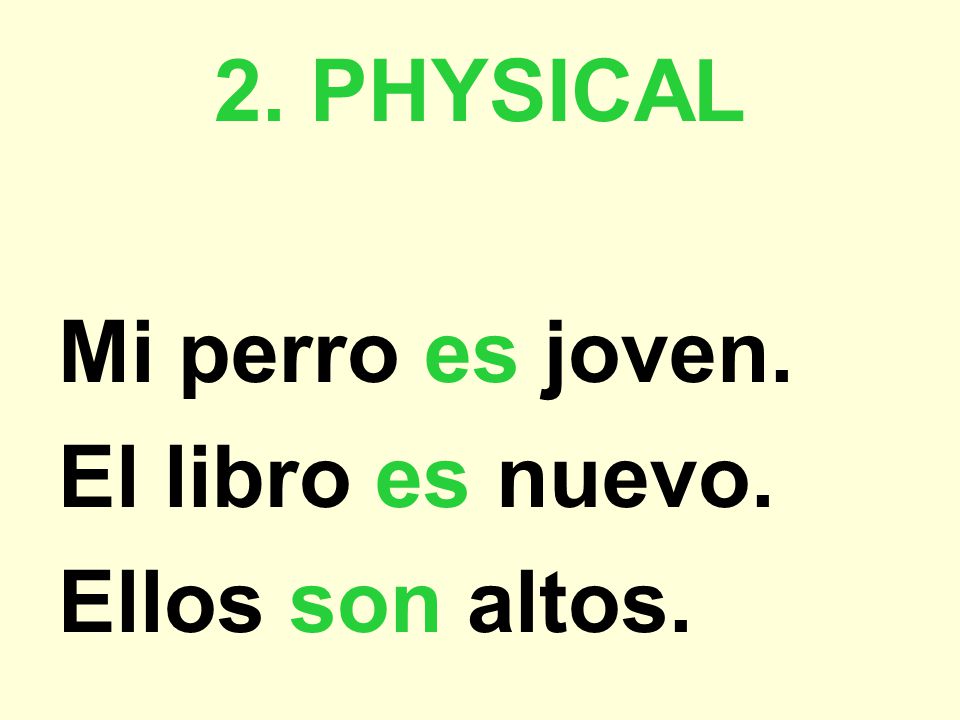 2. PHYSICAL Mi perro es joven. El libro es nuevo. Ellos son altos.