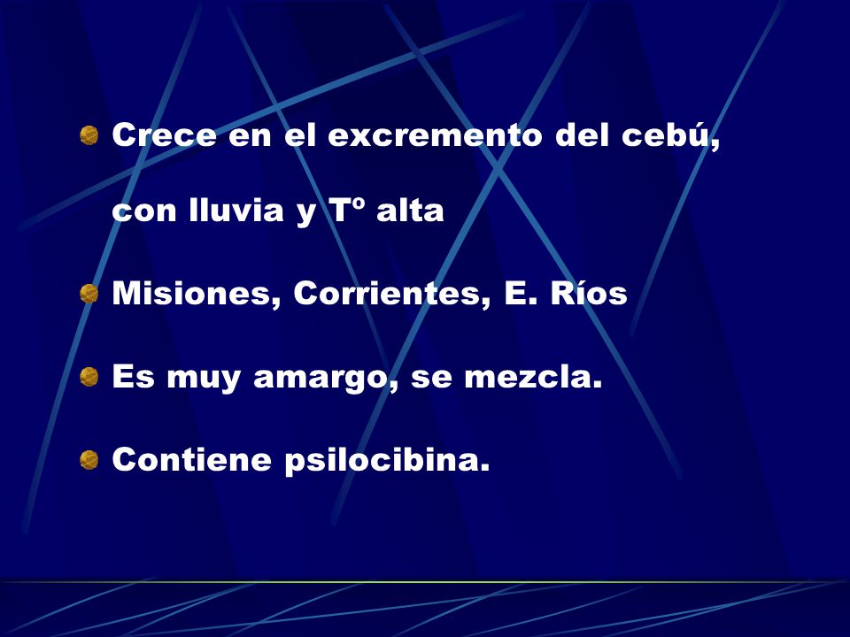 Crece en el excremento del cebú, con lluvia y Tº alta