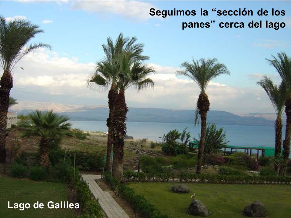 Seguimos la sección de los panes cerca del lago