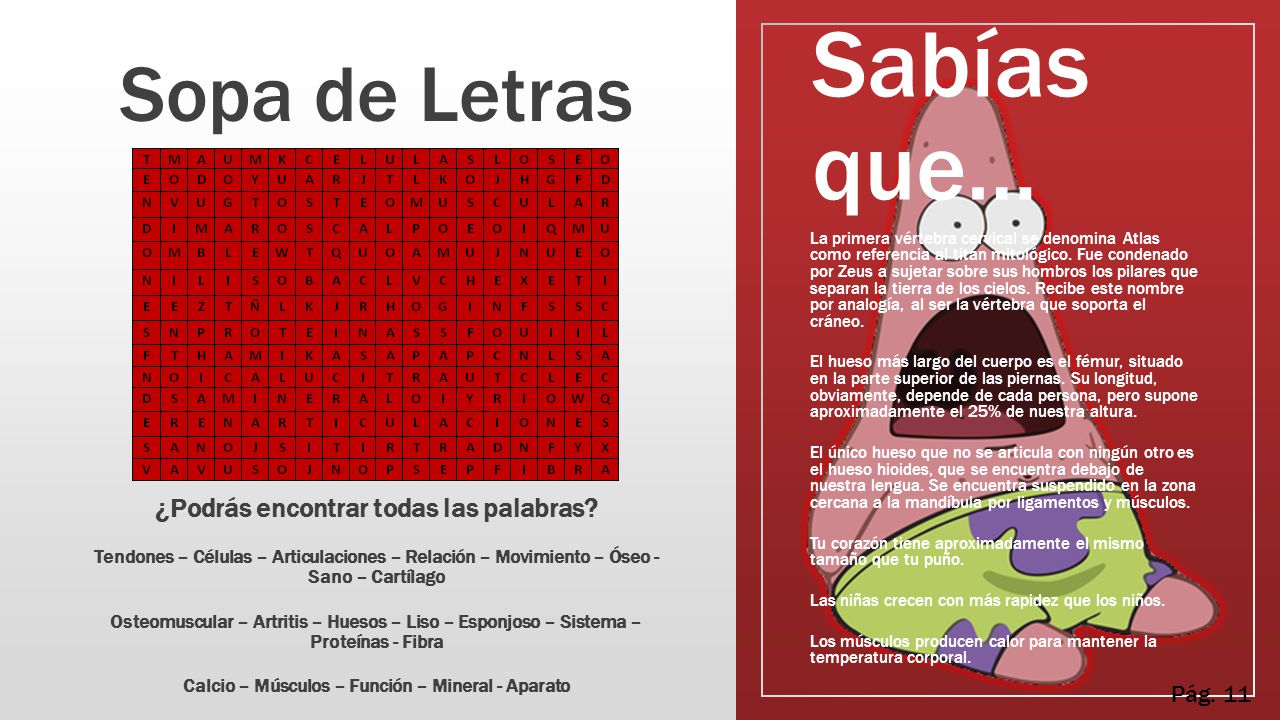 Sabías que… Sopa de Letras ¿Podrás encontrar todas las palabras