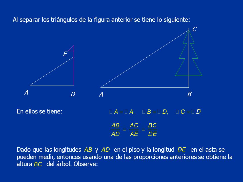 Al separar los triángulos de la figura anterior se tiene lo siguiente: