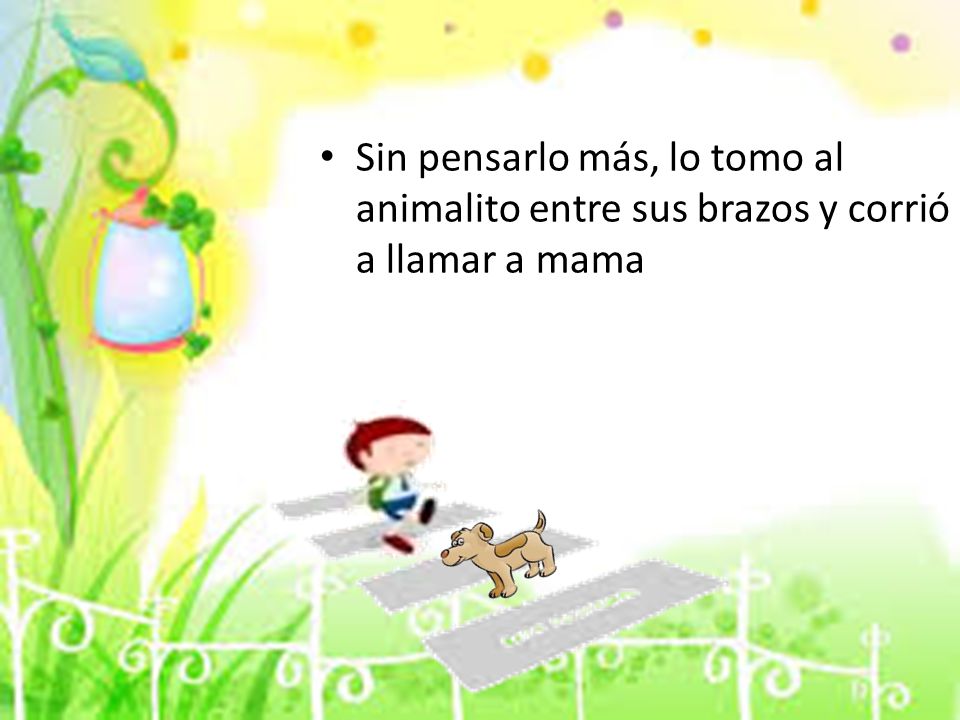 Sin pensarlo más, lo tomo al animalito entre sus brazos y corrió a llamar a mama