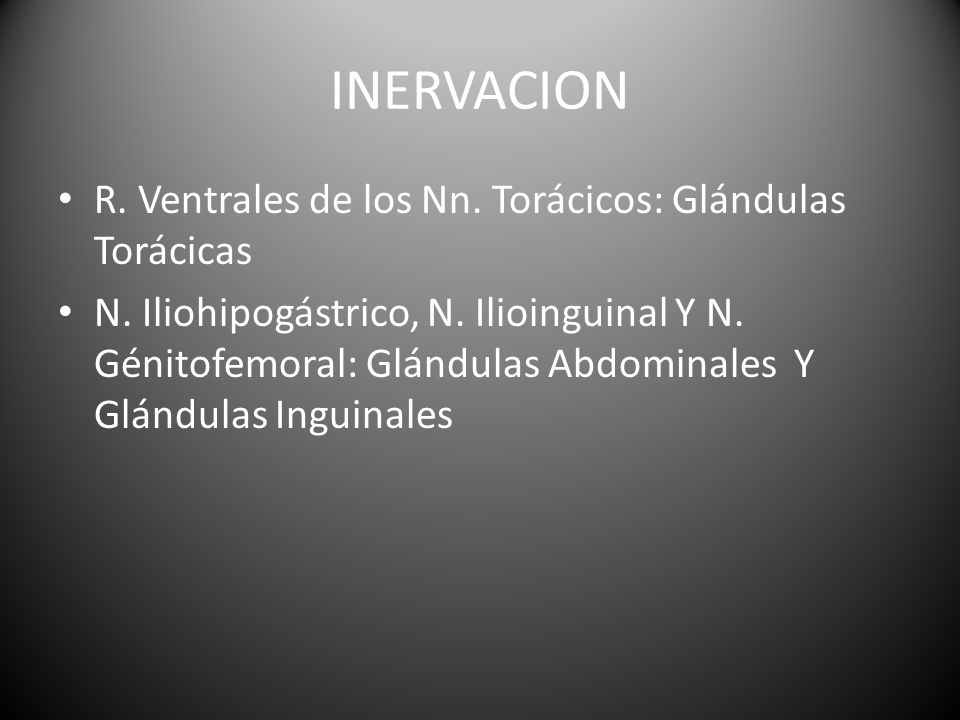 INERVACION R. Ventrales de los Nn. Torácicos: Glándulas Torácicas