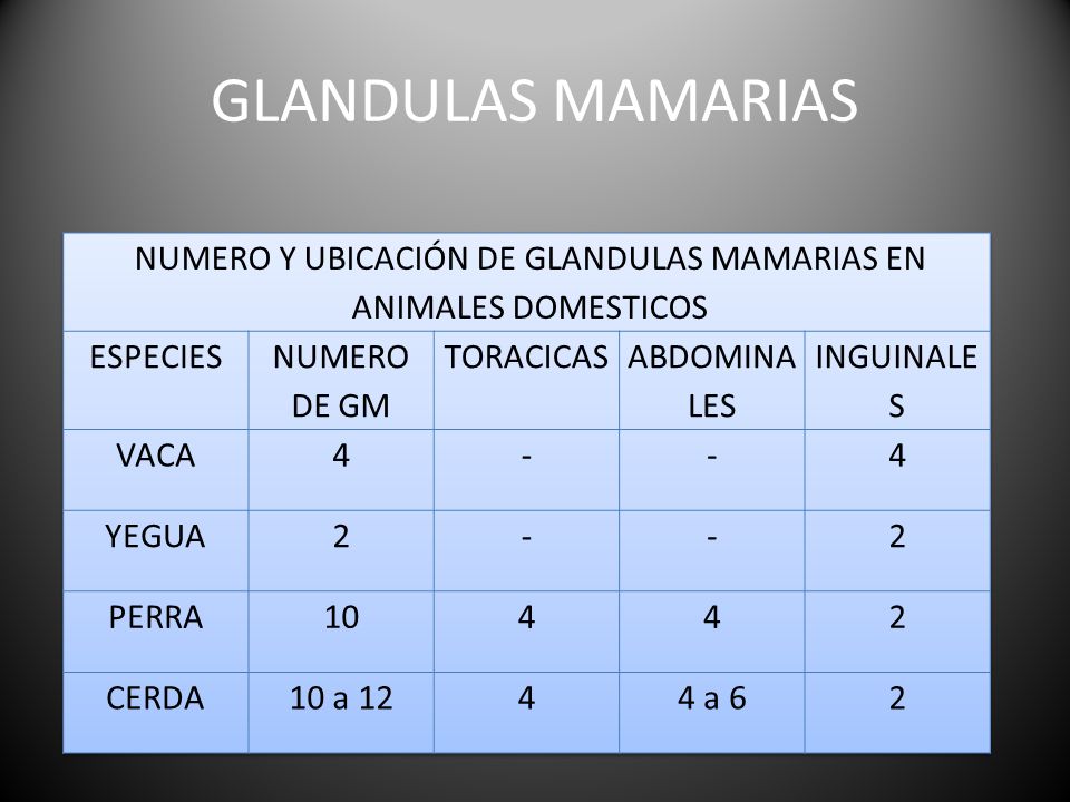 NUMERO Y UBICACIÓN DE GLANDULAS MAMARIAS EN ANIMALES DOMESTICOS