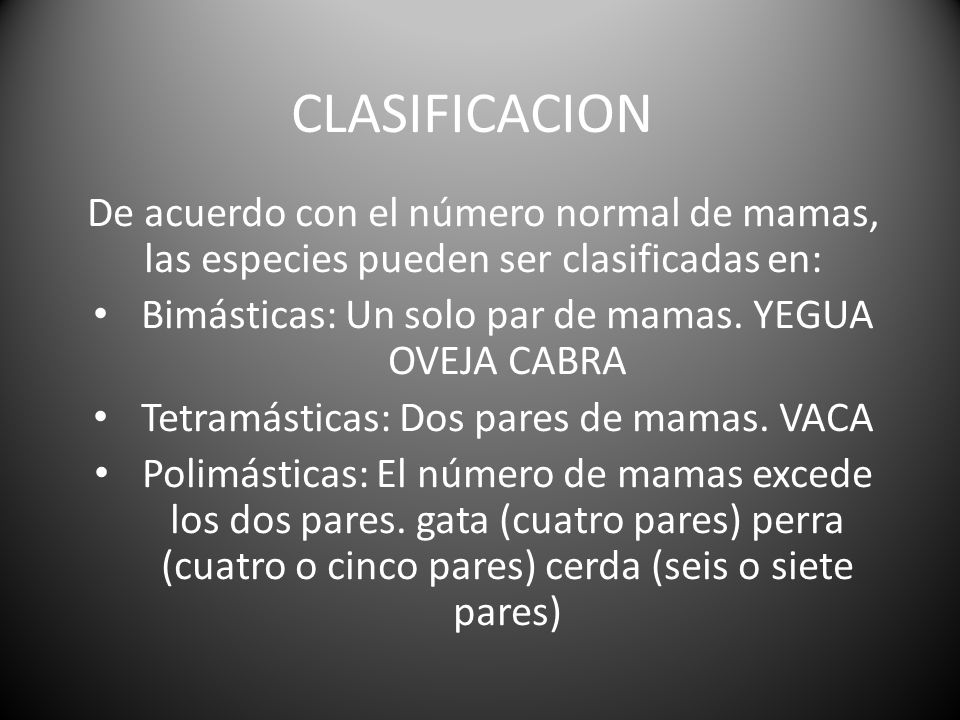 CLASIFICACION De acuerdo con el número normal de mamas, las especies pueden ser clasificadas en: Bimásticas: Un solo par de mamas. YEGUA OVEJA CABRA.