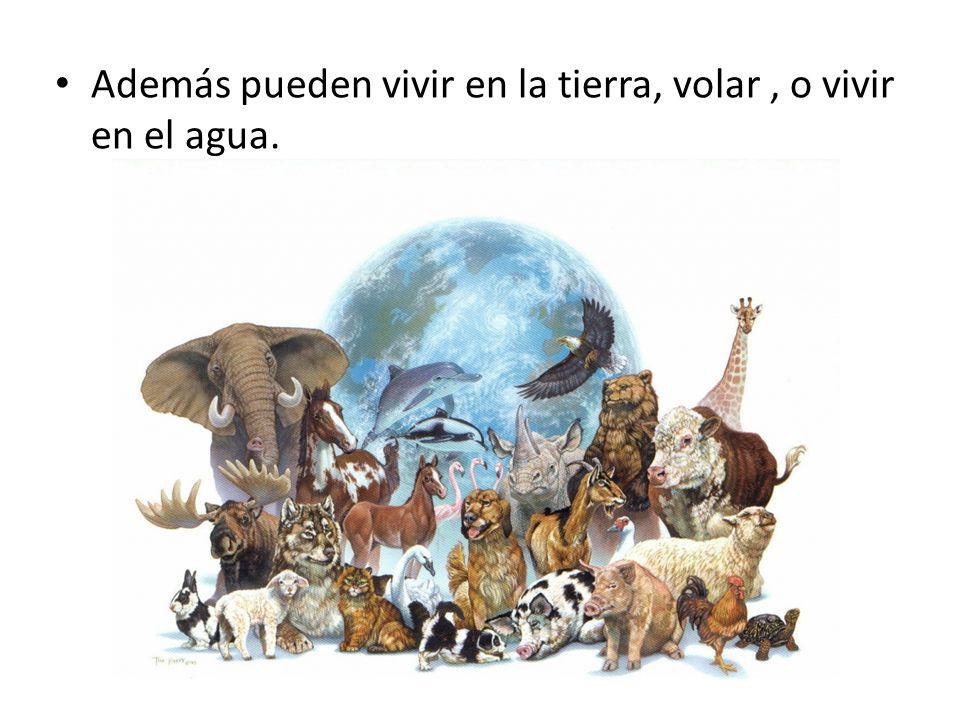 Además pueden vivir en la tierra, volar , o vivir en el agua.
