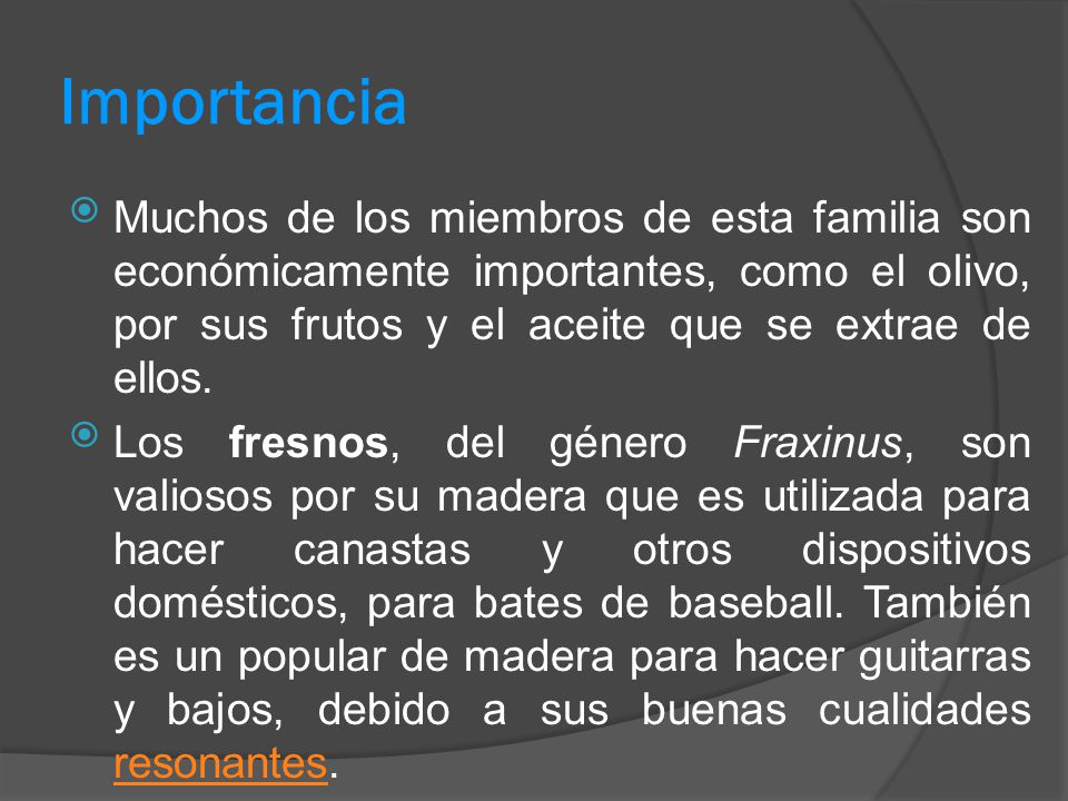 Importancia Muchos de los miembros de esta familia son económicamente importantes, como el olivo, por sus frutos y el aceite que se extrae de ellos.
