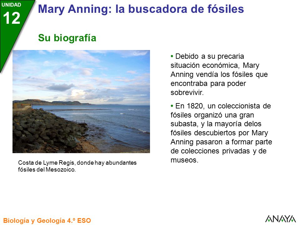 Su biografía Costa de Lyme Regis, donde hay abundantes fósiles del Mesozoico.