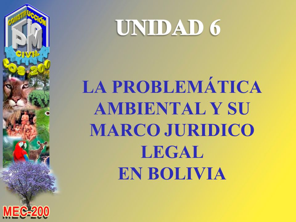 LA PROBLEMÁTICA AMBIENTAL Y SU MARCO JURIDICO LEGAL EN BOLIVIA