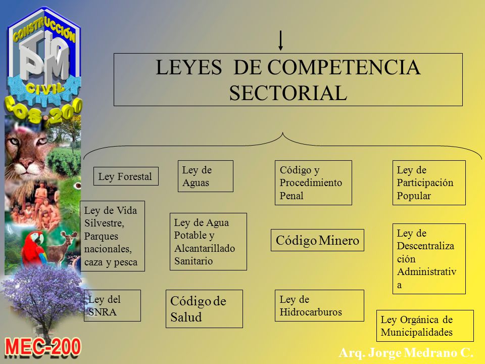 LEYES DE COMPETENCIA SECTORIAL