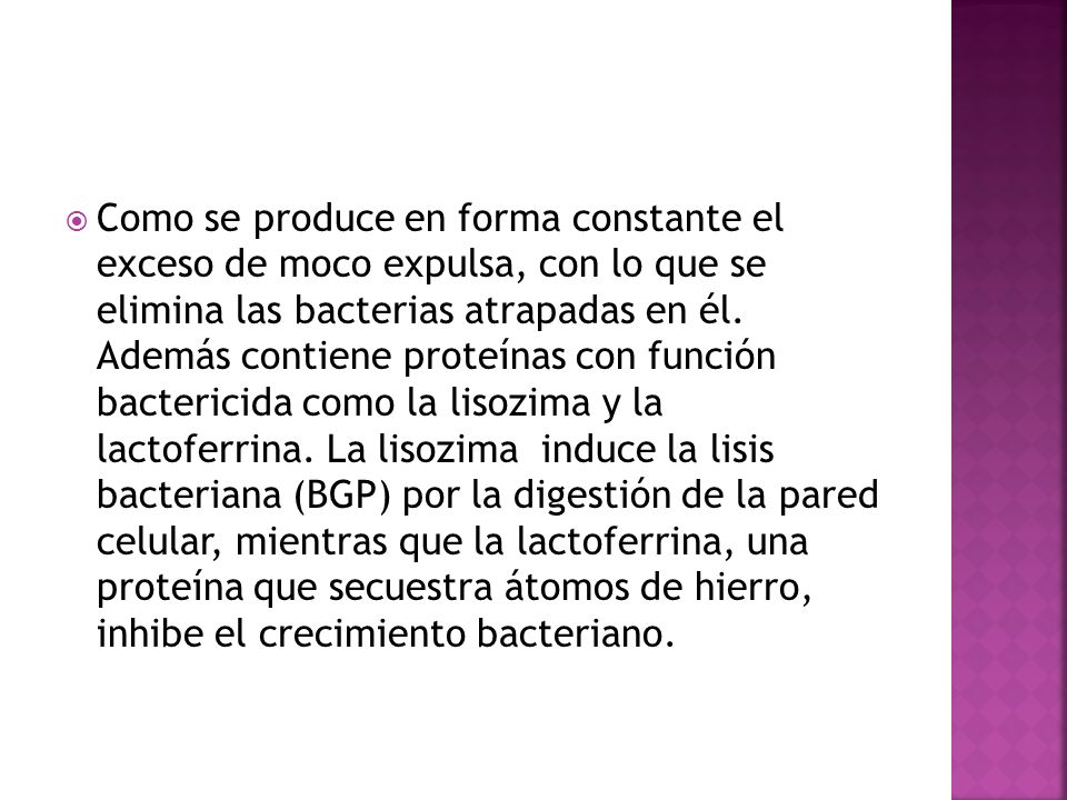 Como se produce en forma constante el exceso de moco expulsa, con lo que se elimina las bacterias atrapadas en él.