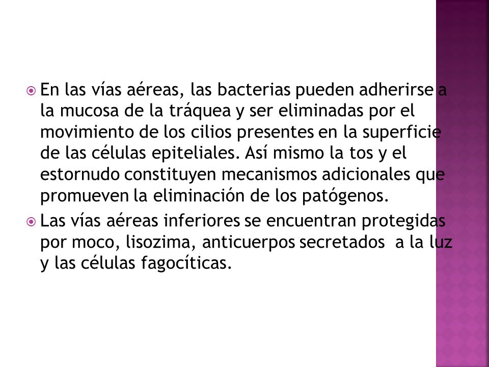 En las vías aéreas, las bacterias pueden adherirse a la mucosa de la tráquea y ser eliminadas por el movimiento de los cilios presentes en la superficie de las células epiteliales. Así mismo la tos y el estornudo constituyen mecanismos adicionales que promueven la eliminación de los patógenos.