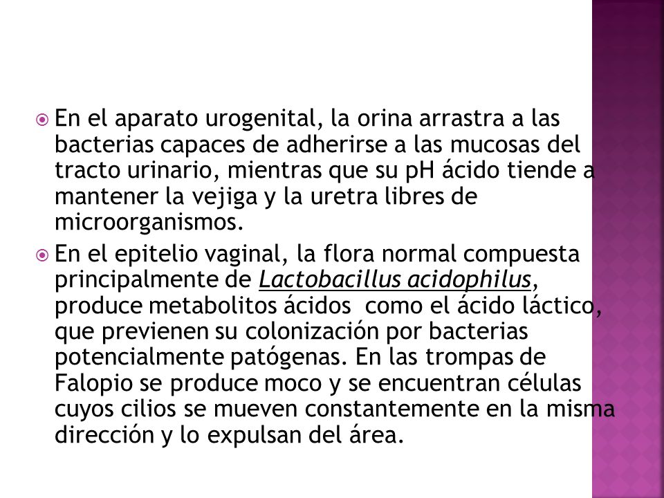 En el aparato urogenital, la orina arrastra a las bacterias capaces de adherirse a las mucosas del tracto urinario, mientras que su pH ácido tiende a mantener la vejiga y la uretra libres de microorganismos.