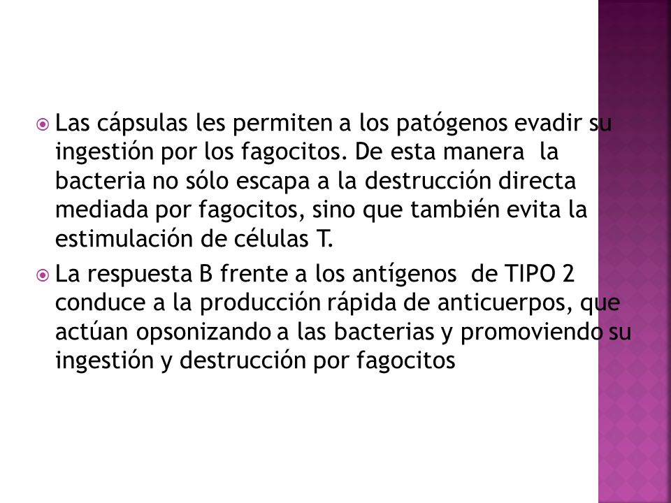 Las cápsulas les permiten a los patógenos evadir su ingestión por los fagocitos. De esta manera la bacteria no sólo escapa a la destrucción directa mediada por fagocitos, sino que también evita la estimulación de células T.