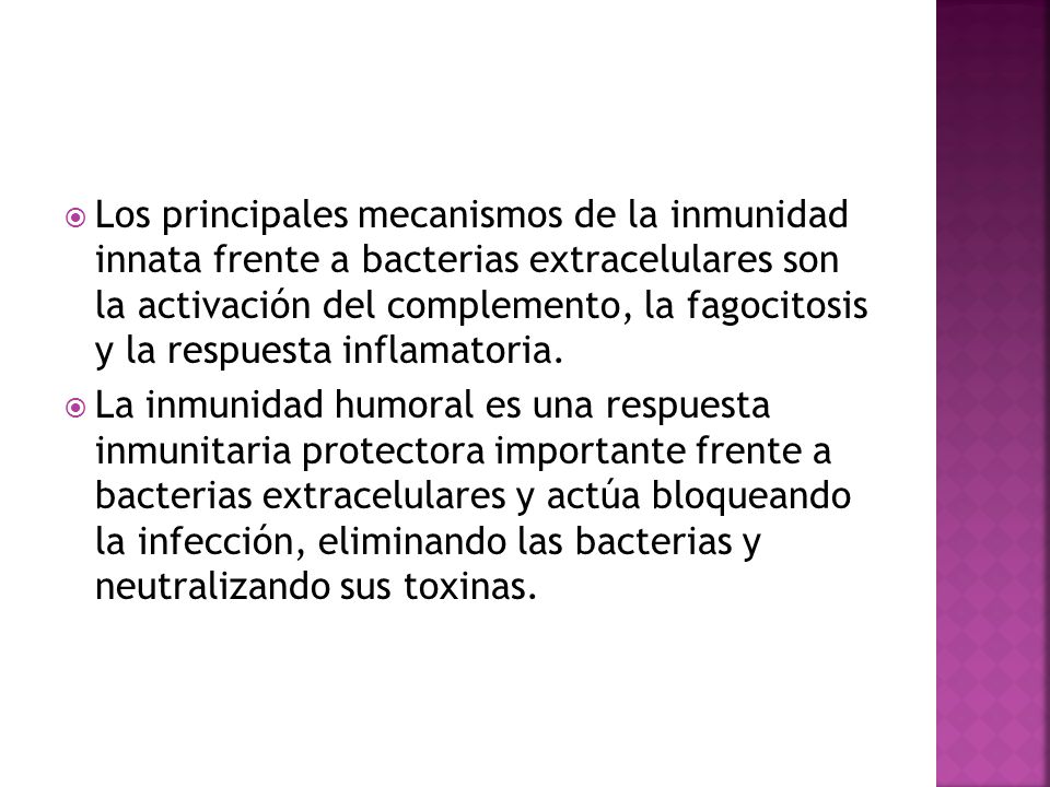 Los principales mecanismos de la inmunidad innata frente a bacterias extracelulares son la activación del complemento, la fagocitosis y la respuesta inflamatoria.