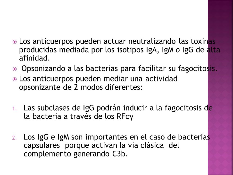 Los anticuerpos pueden actuar neutralizando las toxinas producidas mediada por los isotipos IgA, IgM o IgG de alta afinidad.