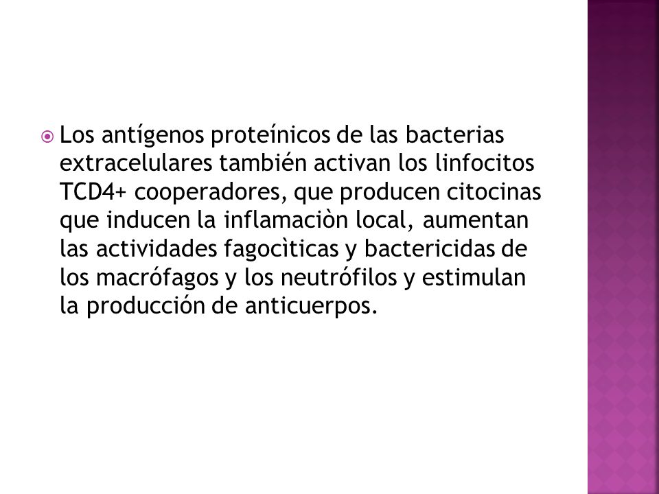 Los antígenos proteínicos de las bacterias extracelulares también activan los linfocitos TCD4+ cooperadores, que producen citocinas que inducen la inflamaciòn local, aumentan las actividades fagocìticas y bactericidas de los macrófagos y los neutrófilos y estimulan la producción de anticuerpos.