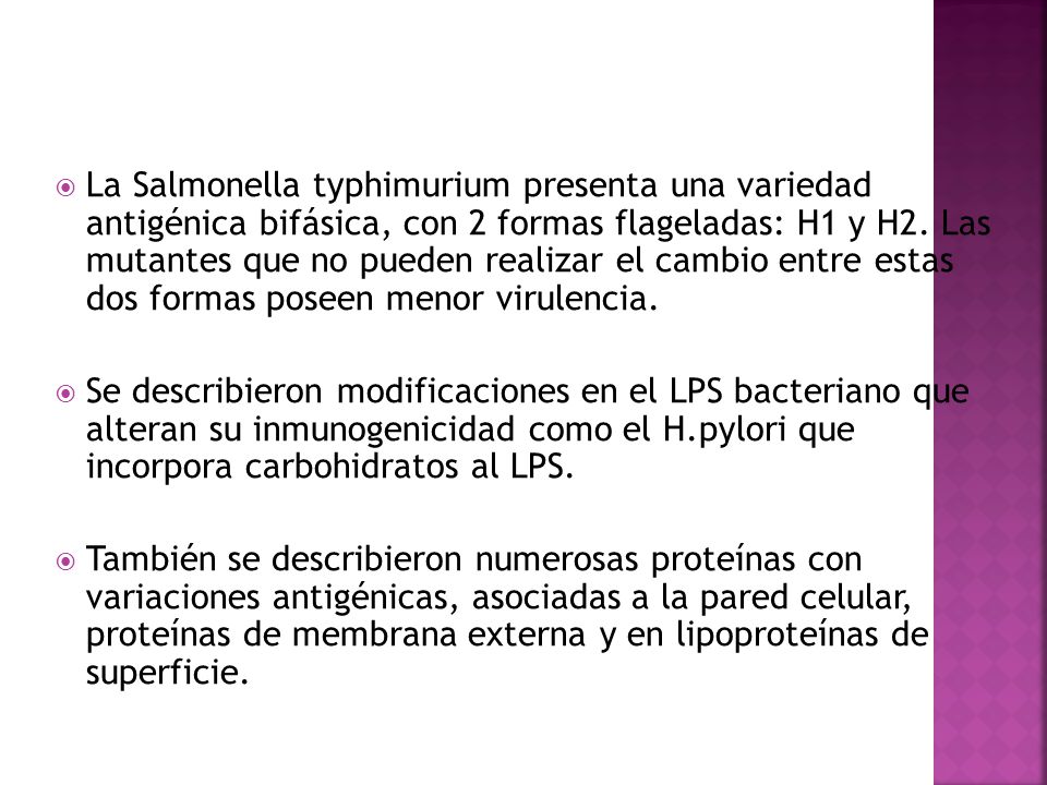 La Salmonella typhimurium presenta una variedad antigénica bifásica, con 2 formas flageladas: H1 y H2. Las mutantes que no pueden realizar el cambio entre estas dos formas poseen menor virulencia.