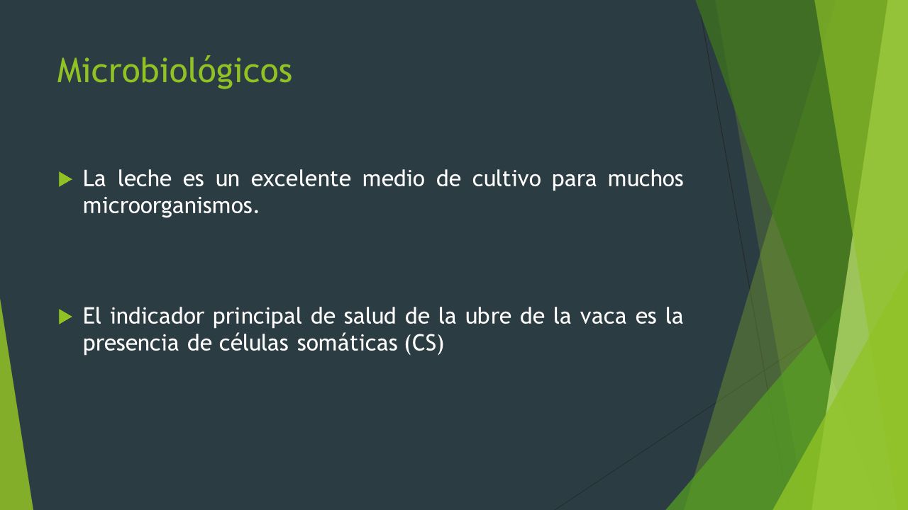 Microbiológicos La leche es un excelente medio de cultivo para muchos microorganismos.