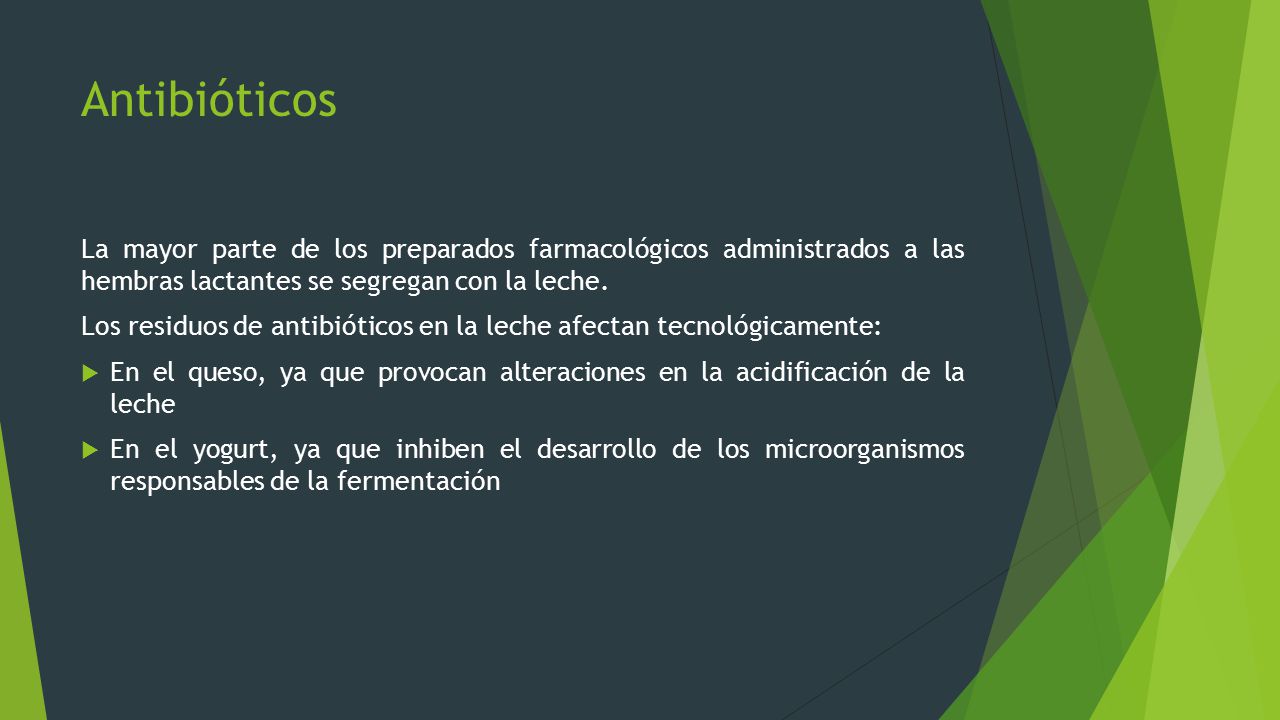 Antibióticos La mayor parte de los preparados farmacológicos administrados a las hembras lactantes se segregan con la leche.