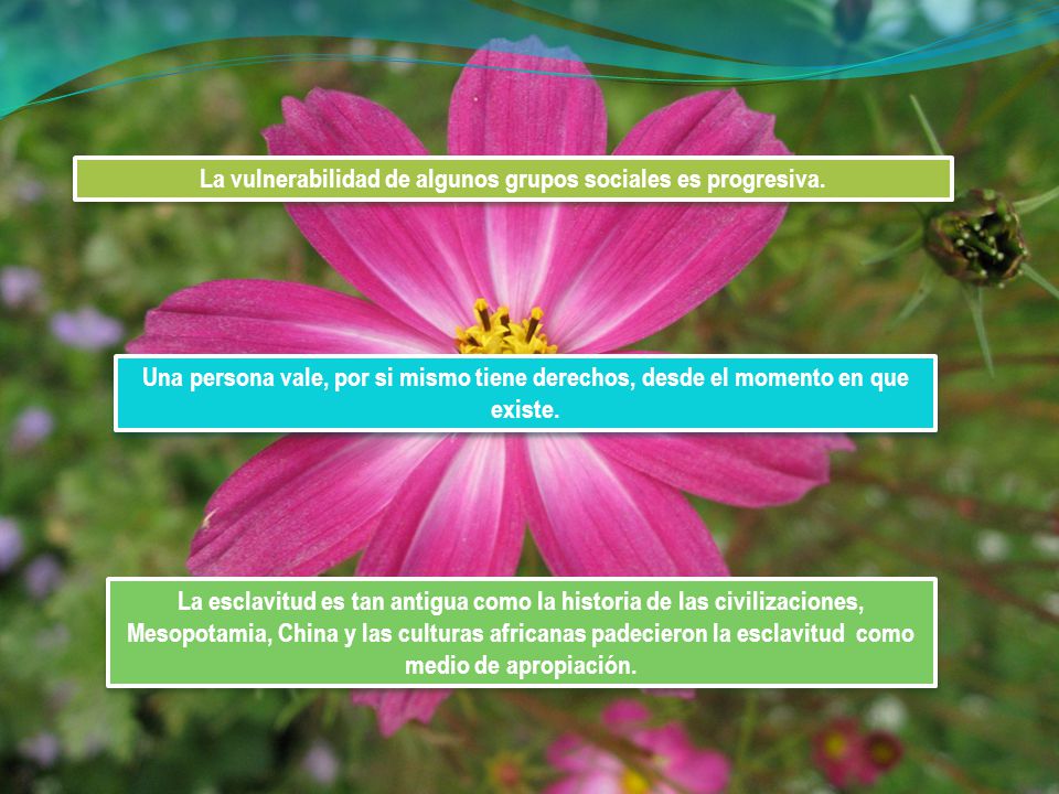 La vulnerabilidad de algunos grupos sociales es progresiva.