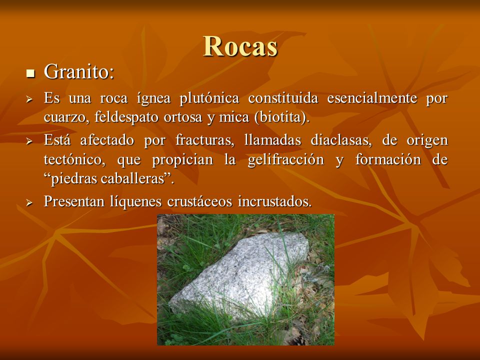 Rocas Granito: Es una roca ígnea plutónica constituida esencialmente por cuarzo, feldespato ortosa y mica (biotita).